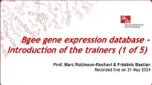 Bgee Course 2024: Gene Expression Made Useful Easily: Tools and Database of Bgee